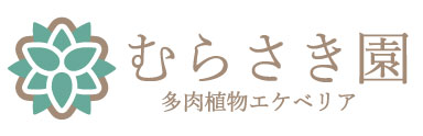 多肉植物むらさき園